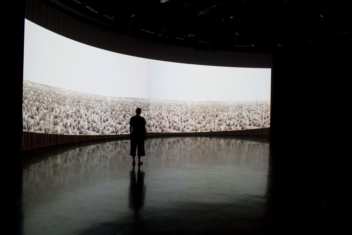 Photo of animation installation